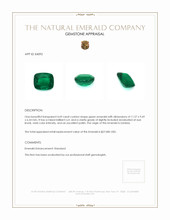 4.69 Ct. Emerald from Zambia Appraisal