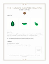 3.95 Ct. Emerald from Zambia Appraisal