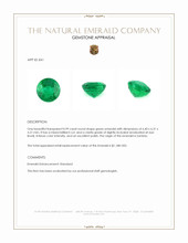 0.99 Ct. Emerald from Zambia Appraisal