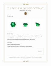 2.74 Ct. Emerald from Zambia Appraisal