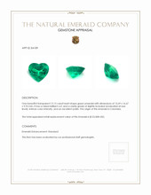 12.15 Ct. Emerald from Colombia Appraisal
