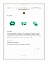 1.18 Ct. Emerald from Colombia Appraisal