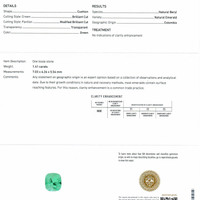 Jewelry Scan Report