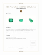 7.63 Ct. Emerald from Zambia Appraisal