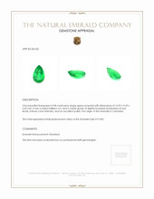 4.98 Ct. Emerald from Colombia Appraisal
