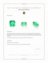 6.81 Ct. Emerald from Colombia Appraisal
