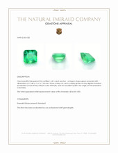 6.81 Ct. Emerald from Colombia Appraisal