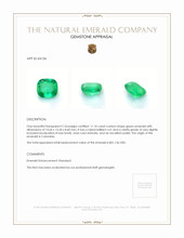 11.10 Ct. Emerald from Colombia Appraisal