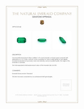 0.70 Ct. Emerald from Colombia Appraisal