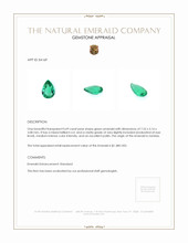 0.69 Ct. Emerald from Zambia Appraisal