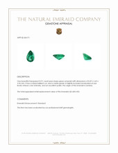 0.91 Ct. Emerald from Zambia Appraisal