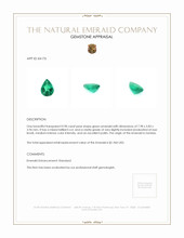 0.98 Ct. Emerald from Zambia Appraisal