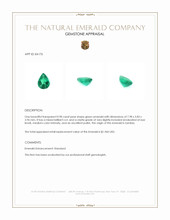 0.98 Ct. Emerald from Zambia Appraisal