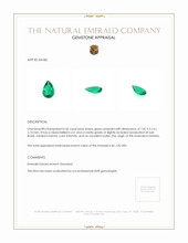 0.56 Ct. Emerald from Zambia Appraisal