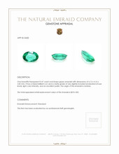0.47 Ct. Emerald from Zambia Appraisal