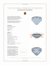 Jewelry 3 D Scan Report