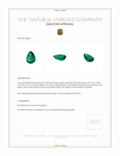 2.85 Ct. Emerald from Zambia Appraisal