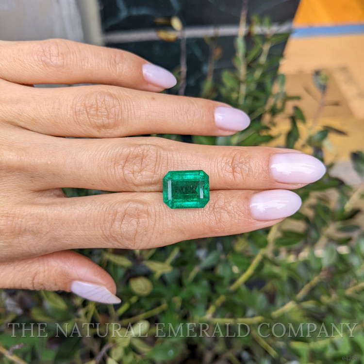 9.94 Ct. Emerald from Zambia