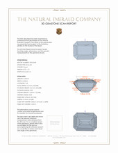 Jewelry 3 D Scan Report