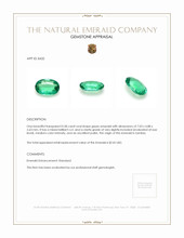 0.58 Ct. Emerald from Zambia Appraisal