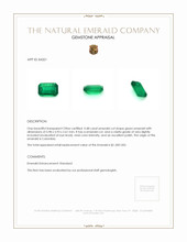 0.48 Ct. Emerald from Colombia Appraisal