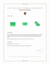3.31 Ct. Emerald from Russia Appraisal