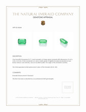 0.71 Ct. Emerald from Zambia Appraisal