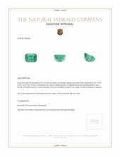 0.76 Ct. Emerald from Zambia Appraisal