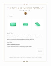 0.87 Ct. Emerald from Zambia Appraisal