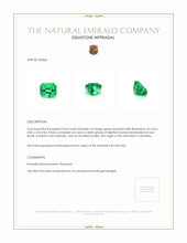 0.69 Ct. Emerald from Colombia Appraisal