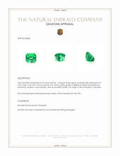 0.69 Ct. Emerald from Colombia Appraisal