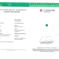 Jewelry Scan Report