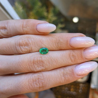 0.69 Ct. Emerald from Zambia Life Style