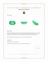 0.73 Ct. Emerald from Zambia Appraisal
