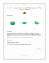0.37 Ct. Emerald from Colombia Appraisal