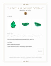 Jewelry Appraisal