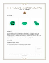 0.42 Ct. Emerald from Colombia Appraisal