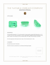 17.22 Ct. Emerald from Colombia Appraisal