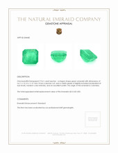 19.61 Ct. Emerald from Colombia Appraisal