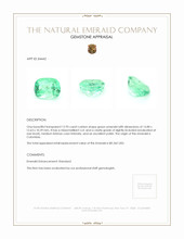 12.93 Ct. Emerald from Colombia Appraisal