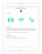 12.93 Ct. Emerald from Colombia Appraisal