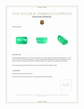 10.55 Ct. Emerald from Colombia Appraisal