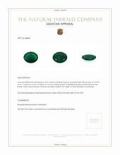 4.53 Ct. Emerald from Colombia Appraisal