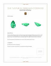 0.76 Ct. Emerald from Colombia Appraisal