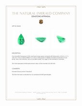 0.80 Ct. Emerald from Colombia Appraisal