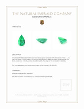 0.80 Ct. Emerald from Colombia Appraisal