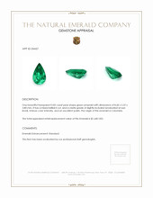0.82 Ct. Emerald from Colombia Appraisal