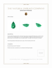 0.70 Ct. Emerald from Colombia Appraisal