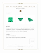 0.47 Ct. Emerald from Colombia Appraisal