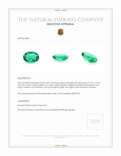 Jewelry Appraisal